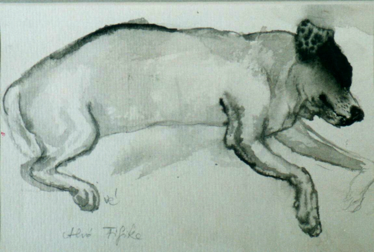 Varga Éva: Fifike, akvarell,1997.